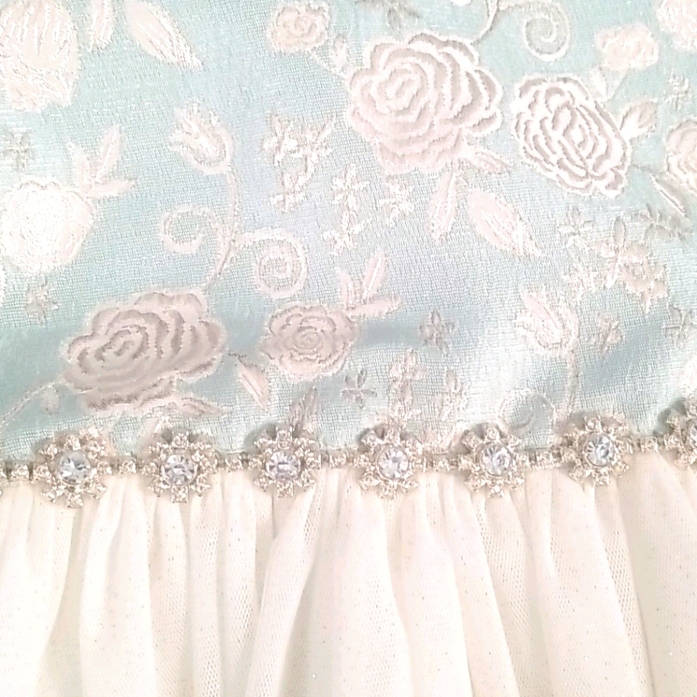 Embroidered and Rhinestone Dress - Picture 2 of 4